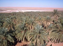 TIMIMOUN DECEMBRE 2004 N022